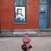 Judy Coffey Photo 22