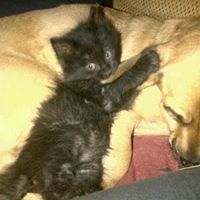 Natasha Ross Photo 29