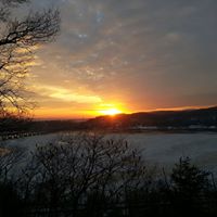 Dolores Ross Photo 8