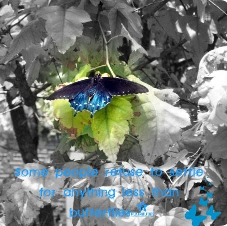 Amy Ries Photo 23