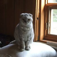 Maureen Adams Photo 8