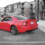 Anthony Pecoraro Photo 28