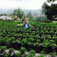 Li Yang Photo 21
