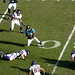 Maurice Jones Photo 29