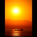 Dawn Herrmann Photo 11