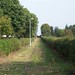 Beth Carter Photo 19