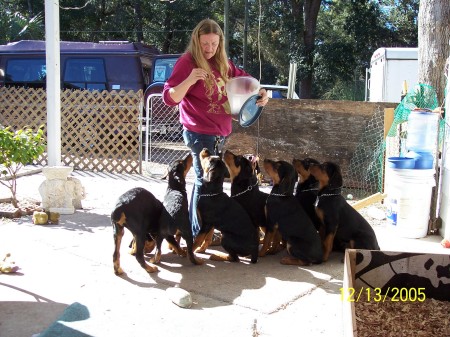 Sandy Martin Photo 14