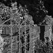 Ann Gates Photo 36