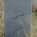 Samuel Jones Photo 29