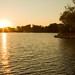 Dawn Wilcox Photo 34