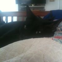 Lisa Holmberg Photo 7