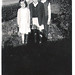 Allan Cummins Photo 8