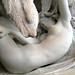 Martha Woodward Photo 9