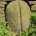 Clayton Stone Photo 15