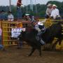 Jeremy Langley Photo 25