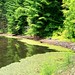 Wayne Wheeler Photo 32