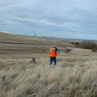 Alan Howell Photo 31