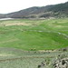 Dexter Meadows Photo 4
