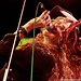 Dana Curl Photo 9