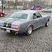 David Halderman Photo 10