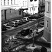 Kelly Humphries Photo 16