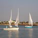William Apel Photo 10