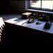 Shelley Morse Photo 13