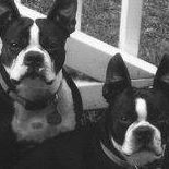 Sherry Bragg Photo 9