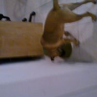Nathan Carrillo Photo 20