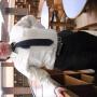 Kurt Weber Photo 27