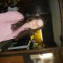 Kimberly Hammonds Photo 17