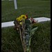 Bob Kennedy Photo 7
