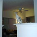 Rex Kelley Photo 20