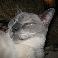 Laurie Sherman Photo 34