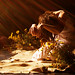 Scott Berardi Photo 10