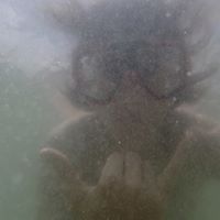 Austin Douglas Photo 12