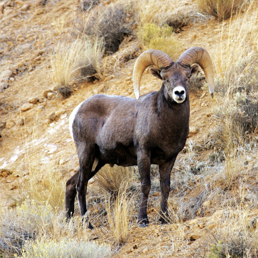 Larry Benton Photo 5