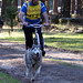 Michael Sheedy Photo 26