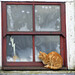 Ginger Galloway Photo 17
