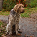 Forrest Hunter Photo 23
