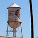 Yakko Warner Photo 8