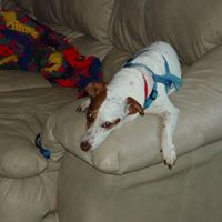 Joy Garrison Photo 11
