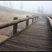 Dawn Langford Photo 14