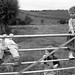 Louis Lucas Photo 17