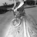 Chris Cronin Photo 15