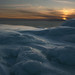 Betsy Winter Photo 9