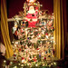Janet Winters Photo 15
