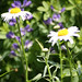 Ray Aldrich Photo 17