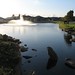 Debbie Grove Photo 10