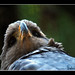 Ed Robson Photo 24